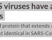 كورونا وسارس بهما بروتين متطابق قد يساعد في تحديد العلاجات
